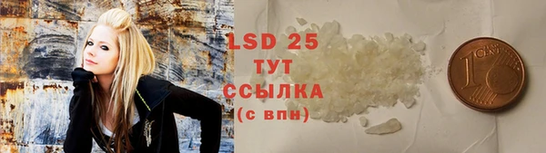 крисы Алзамай
