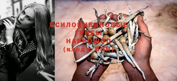 стаф Алексин
