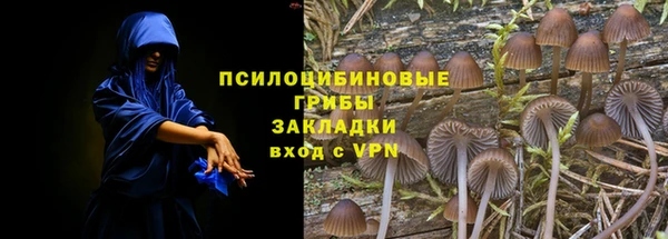 стаф Алексин