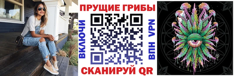Псилоцибиновые грибы Cubensis  даркнет как зайти  Лянтор 
